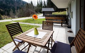 Apartma Pokljuska Idila - Idyllic Pokljuka Studio Above Bled